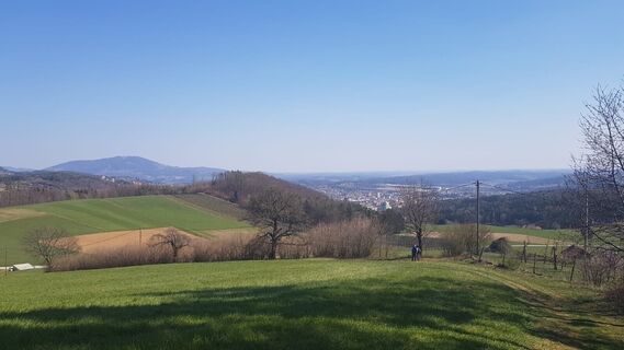 Stross_Weiz_Oststeiermark