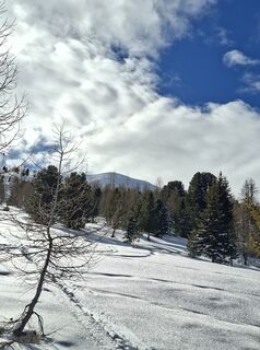 Foto de Jonas Seebacher a lo largo del recorrido