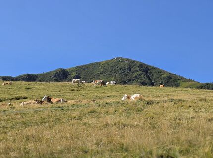 Foto von MRDL entlang der Tour