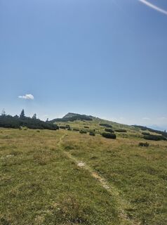 Photo de Steffen Kollmann le long du parcours