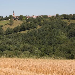 Lou Cami de Theoullet