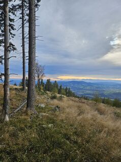 Fotografia z Ingrid H na trase