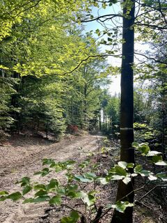 Fotó a Pfalzi honlapról a túra során