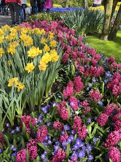 Fotografie de la Silvia Hollenstein de-a lungul turului