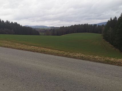 Photo de Waldläufer le long du parcours