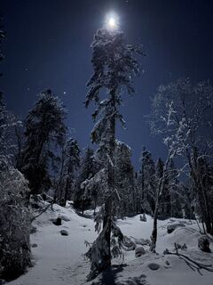 Fotografija s spletne strani Nikolas von Merveldt na poti