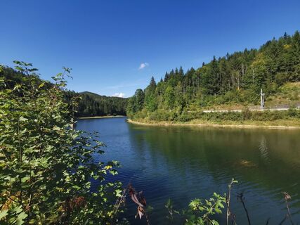 Stausee in Wienerbruck