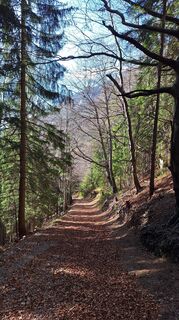 Zdjęcie z Aga M wzdłuż trasy