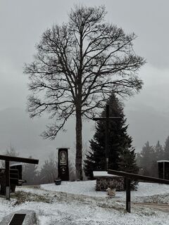 Foto von MaierAn entlang der Tour