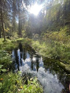 Foto von Nikolaus Ludwig 1 entlang der Tour