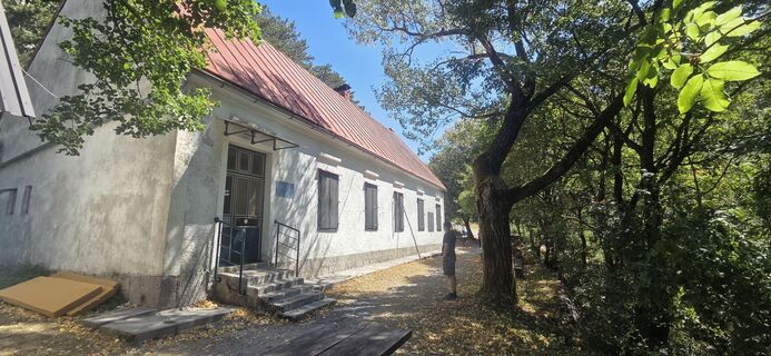 Fotografie z Darija Forgač na trase