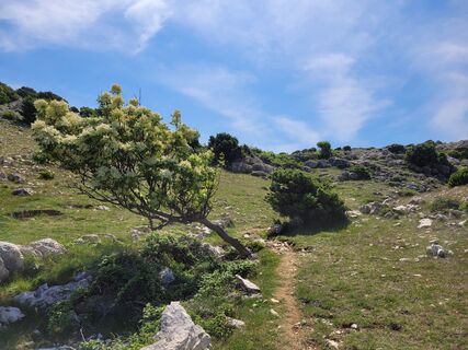 Fotografia z Juliane Jarke na trase