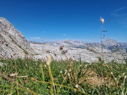 Foto von Isabella Schwaiger-Moser entlang der Tour