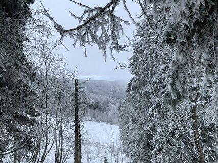 Fotografia z Kristina  1 na trase