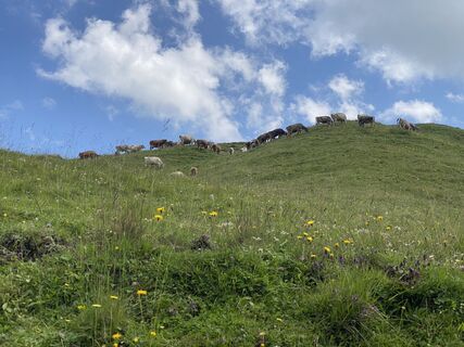 Fotó a Michele Giglio honlapról a túra során