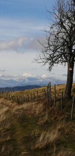 Fotografija s spletne strani petra zöchner na poti