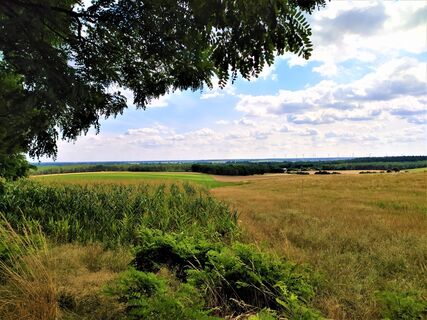 Aussicht vom Dolchauer Berg