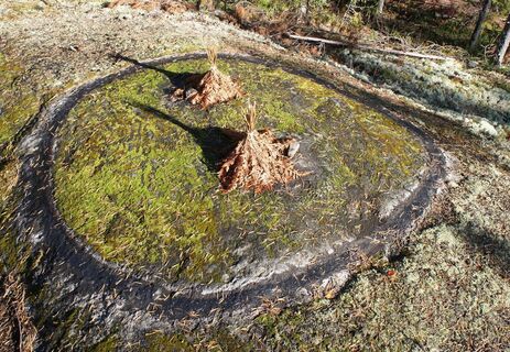 Hukkavuoren Naturpfad