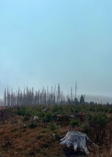 Foto von TallWanderBilly entlang der Tour