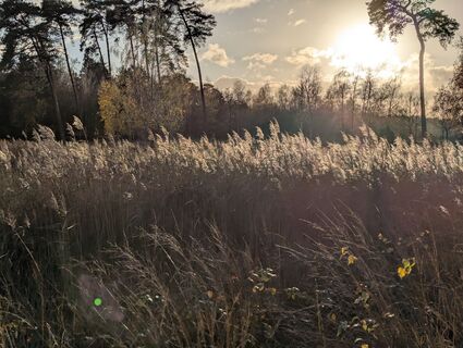 Foto de Matje Derks a lo largo del recorrido