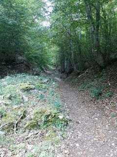 Photo de Marco consiglio le long du parcours