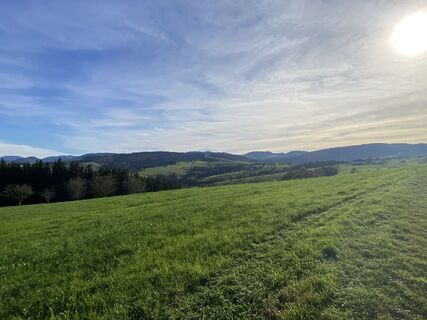 Photo de Biernase1 le long du parcours