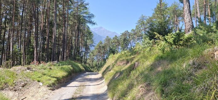 Foto von Christian Freythaler entlang der Tour
