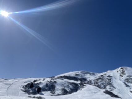Fotografija s spletne strani Martin na poti