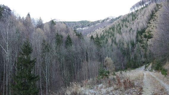 Aufstieg Schindelbachtal