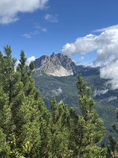 Photo de Gerti Hartmann 79 le long du parcours