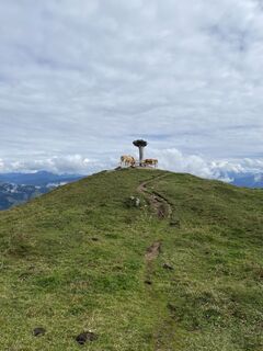 Foto von Michael Enzinger entlang der Tour