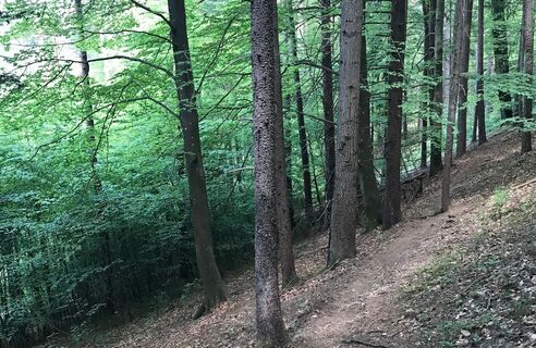 Papst-Franziskus Pilgerweg_Oststeiermark