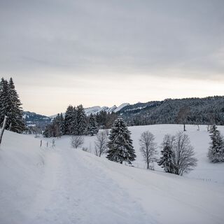 Wolzenalp Winter
