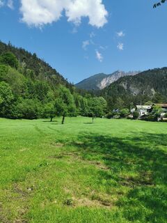 Photo de Waldläufer le long du parcours