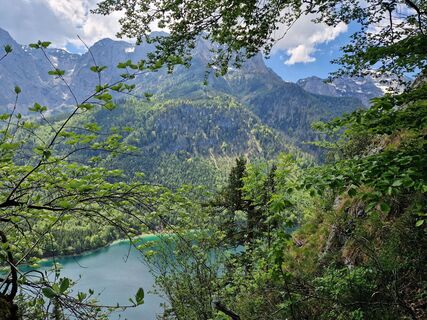 Fotografia z Daniel Fasching na trase