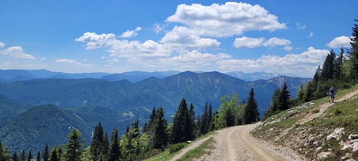 Fotografija s spletne strani Nicky na poti
