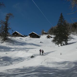 Knapp unterhalb der Oberberger Alm