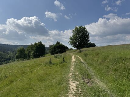 Fotografie z Pio P na trase