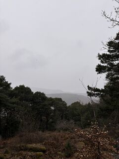 Fotografija s spletne strani Felix Rietz na poti