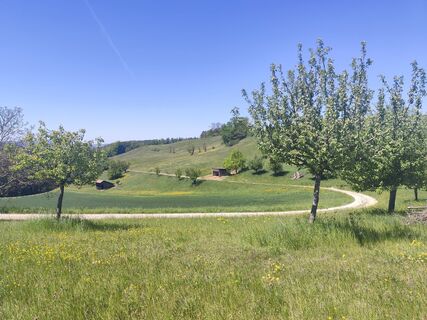Foto von Sommer Joe entlang der Tour