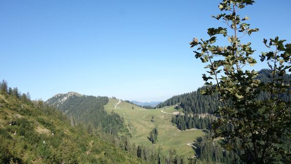 Aufstieg am Sohlenkogel