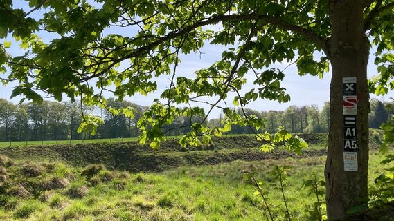 Naturschutzgebiet Bleikuhlen | Lichtenau-Blankenrode