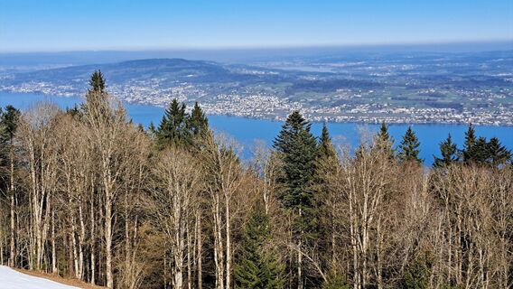 Fotografie de la Otto Wernli de-a lungul turului