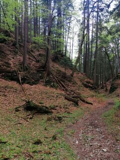 Foto von Christina Turnwald entlang der Tour