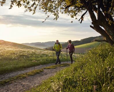 Wanderweg in Bad Schönau