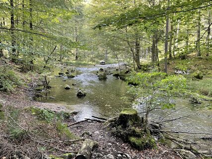 Photo de Harald Daspelgruber le long du parcours
