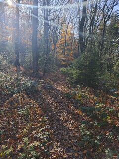 Fotografie z Björn Heun na trase