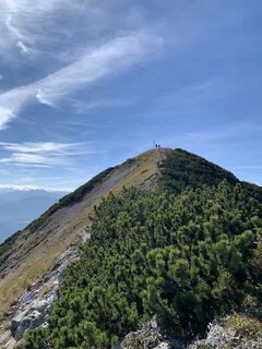 Fotografija s spletne strani Elisabeth Wiesmayr na poti
