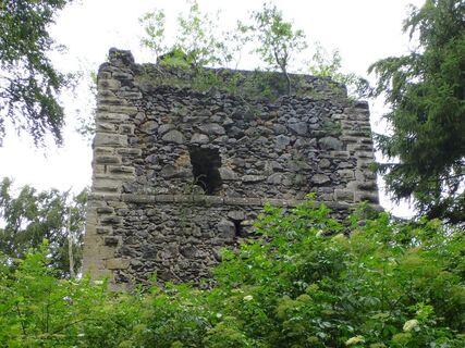Ruine Neuhewen