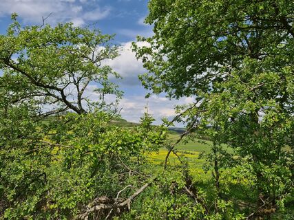 Foto von Fotogeist - Hans Peter Kehrle entlang der Tour